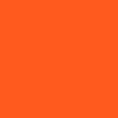 QA369 ORANGE TEST ITEM 0810